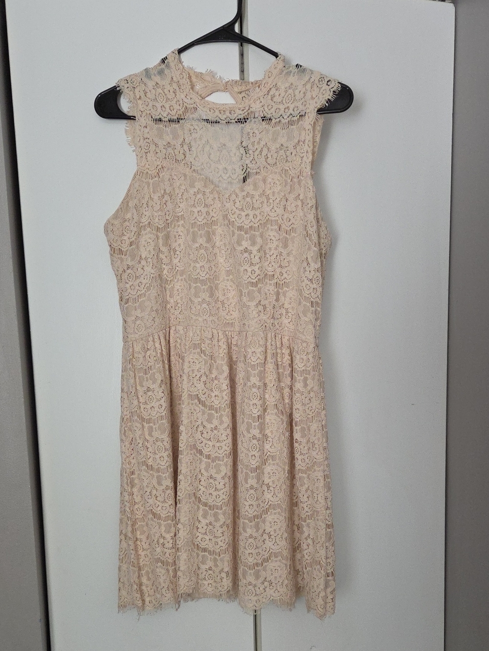 Xhilaration Lace Fit-and-Flare Mini Dress in Blush Nude